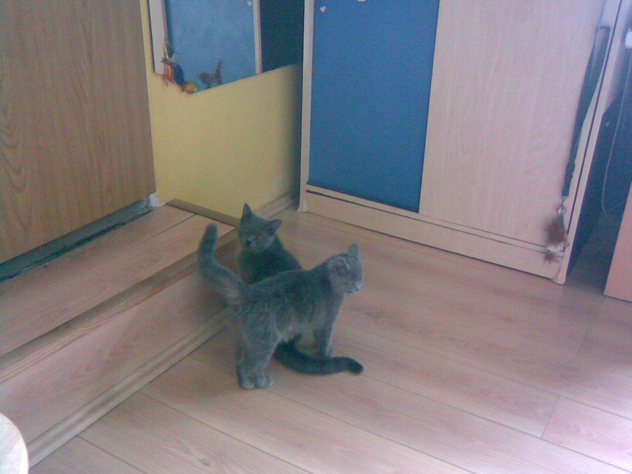 Obraz051.jpg